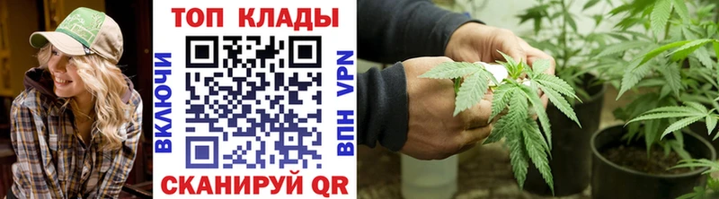 Магазин наркотиков Вытегра Alpha-PVP  Бошки Шишки  МЕФ  АМФЕТАМИН  ГАШИШ 