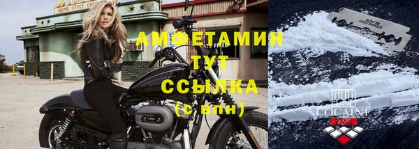 гидра Семилуки