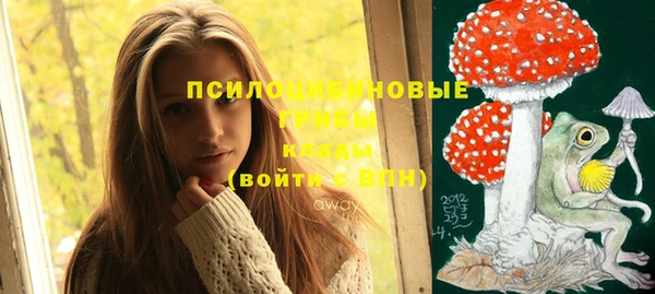соль ск Балабаново