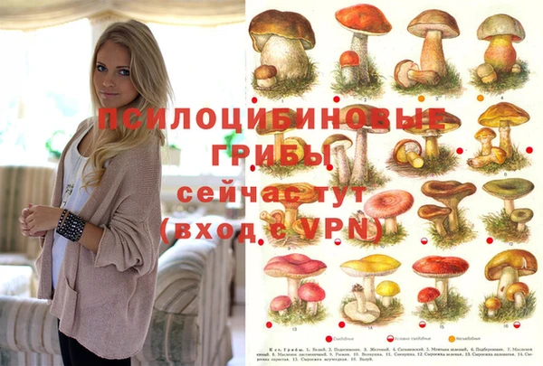 мет Баксан