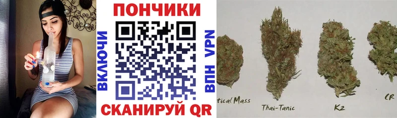 где можно купить наркотик  Вытегра  Каннабис ГИДРОПОН 